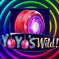 YoYo&https://sasgokil.com/39;s Wild